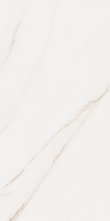 Omnia Calacatta Levigato 12 x 24